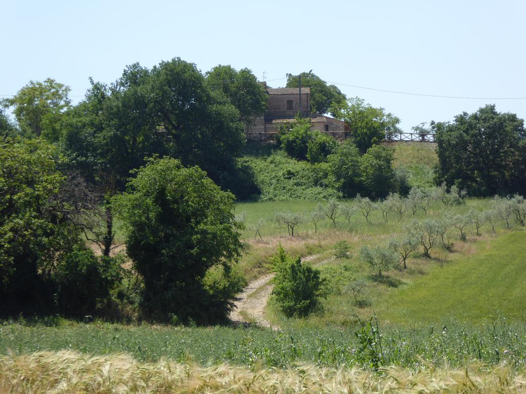 Pietre Di Fiume Villa Apice Екстериор снимка